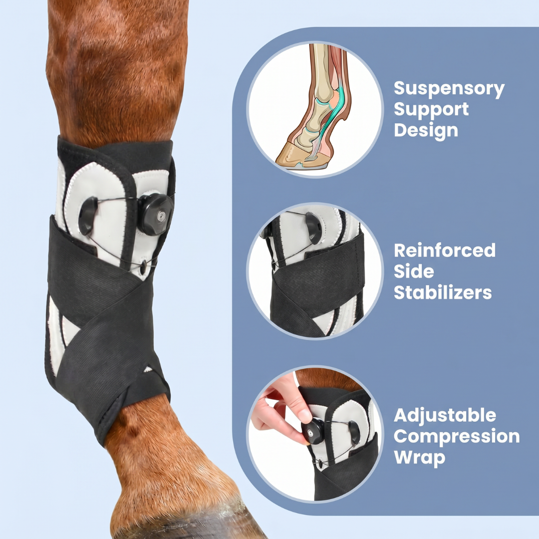 Chevaroo Suspensory Ligament Stability Boot 2.0