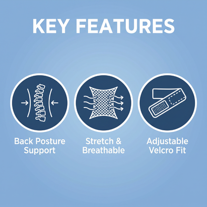 Chevaroo Horse Back Posture Corrector