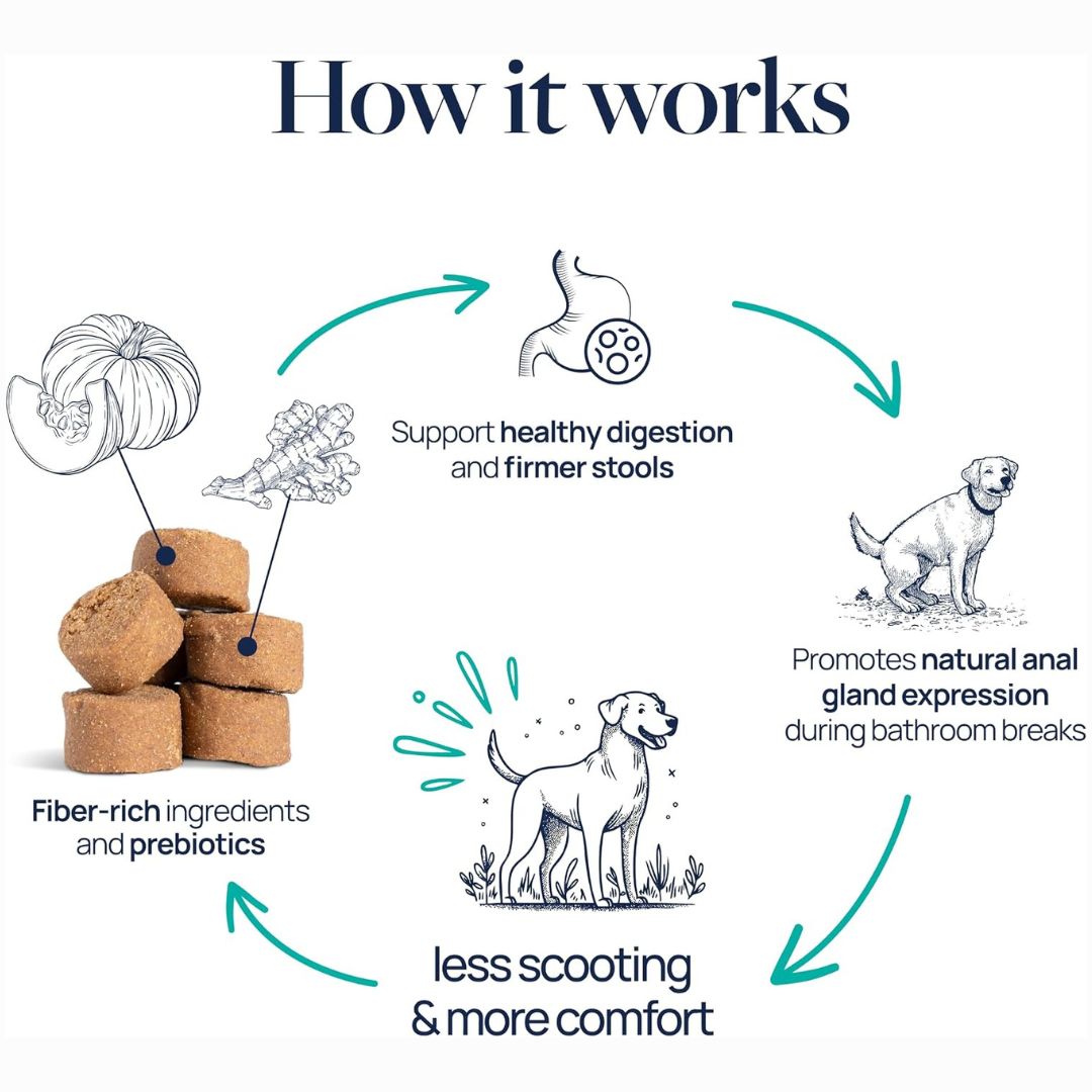 Chevaroo No Poo Anal Gland Soft Chew Support
