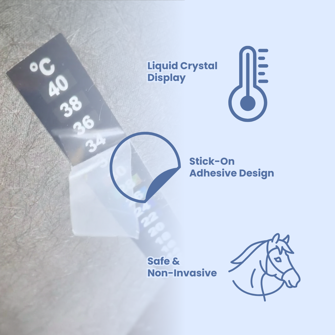 Chevaroo Digital Thermometer Adhesive Strip
