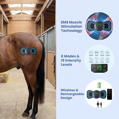 Chevaroo Horse Weight Loss EMS Unit