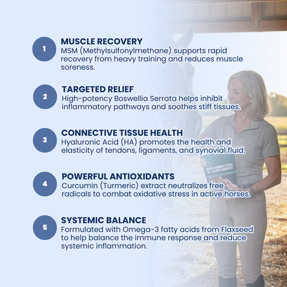 EquiOptimus Inflammation XL Supplement