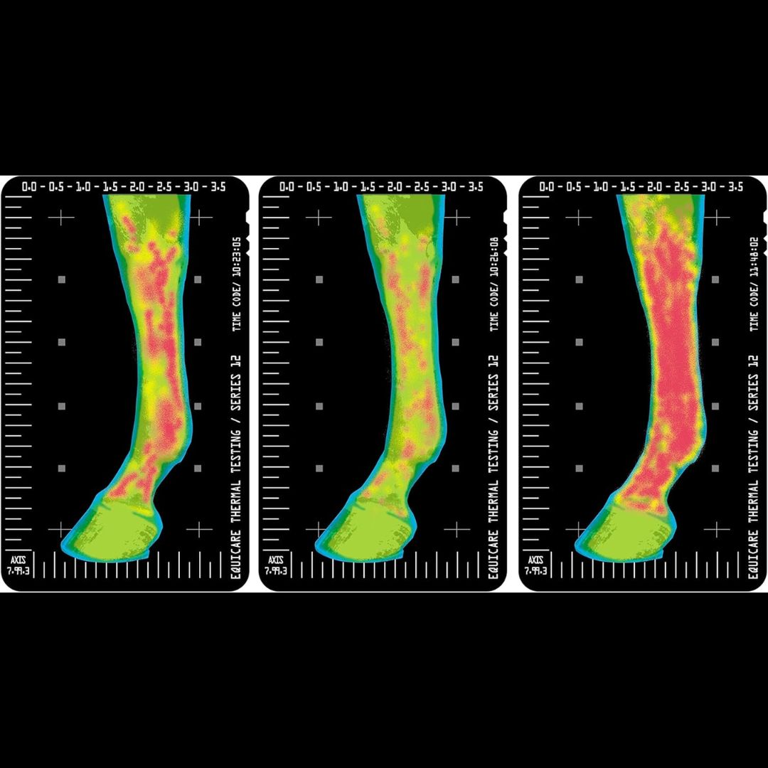 Chevaroo Inflammation Cooling Gel