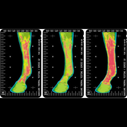 Chevaroo Inflammation Cooling Gel