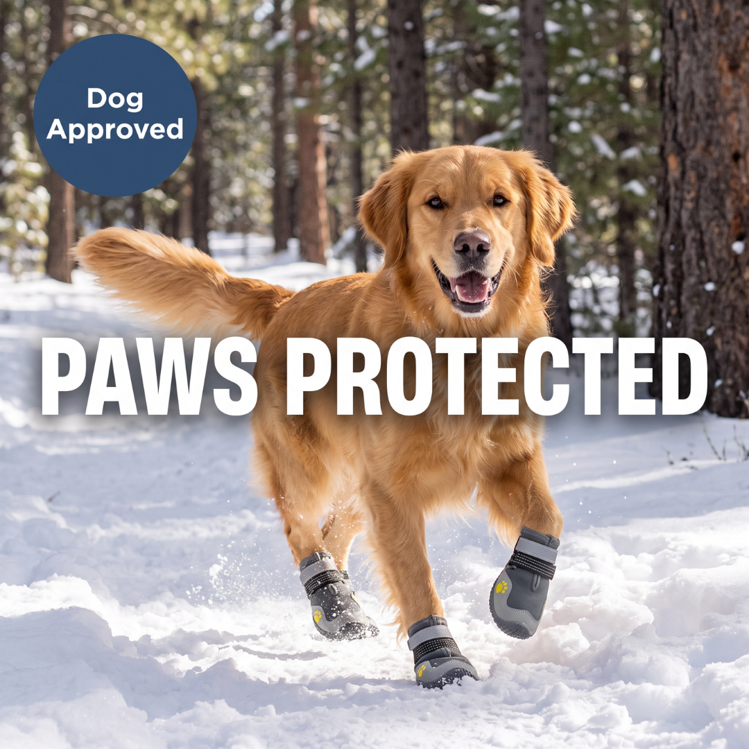 Chevaroo High Thermal Resistence Dog Shoes