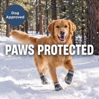 Chevaroo High Thermal Resistence Dog Shoes
