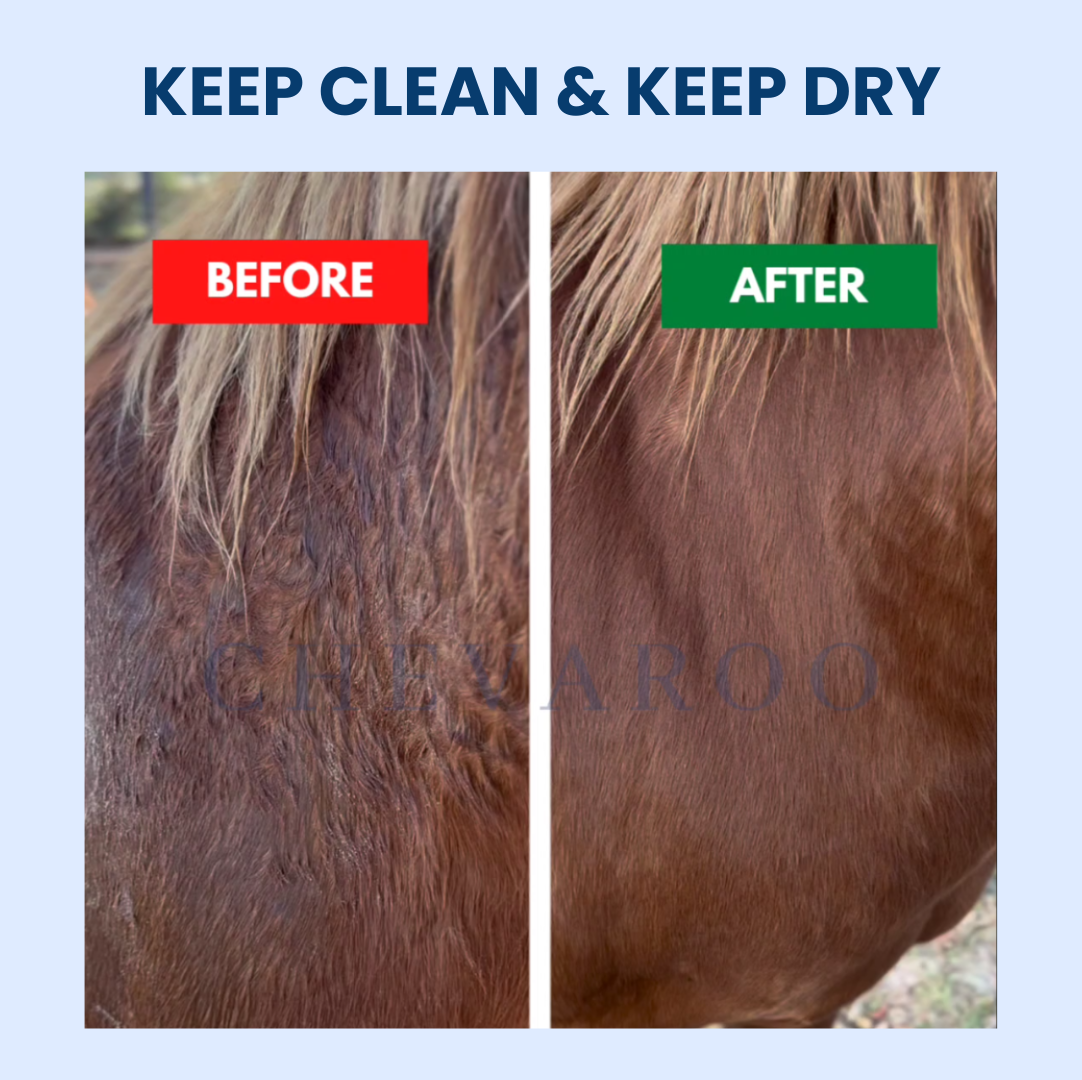 Chevaroo Horse Absorber XXL