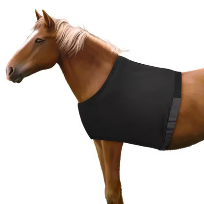 Chevaroo Horse Back Posture Corrector