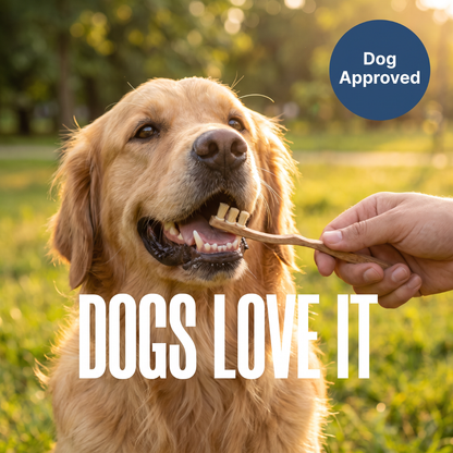 Chevaroo Dog Miswak Toothbrush