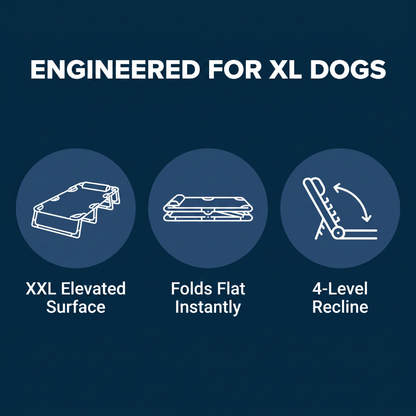 Chevaroo XXL Elevated Foldable Dog Bed