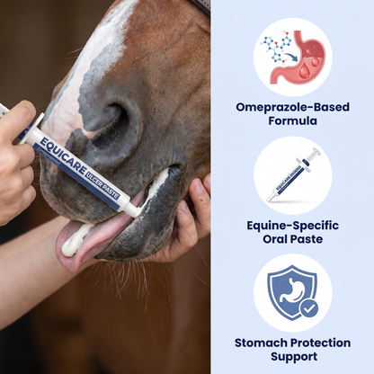 Chevaroo EquiCare Ulcer Paste
