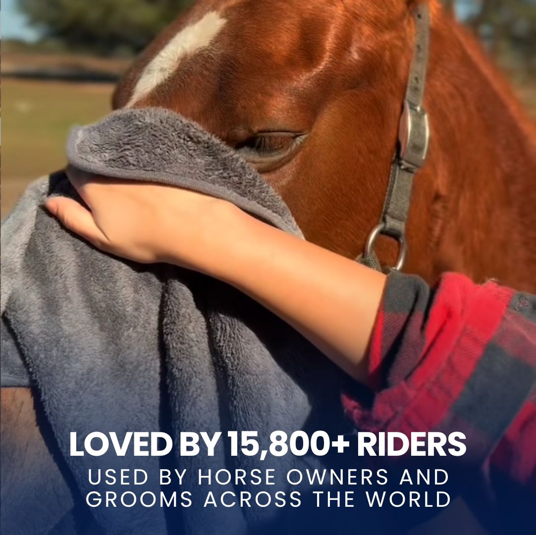 Chevaroo Horse Absorber