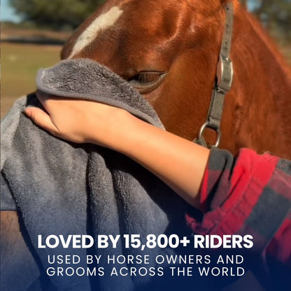Chevaroo Horse Absorber