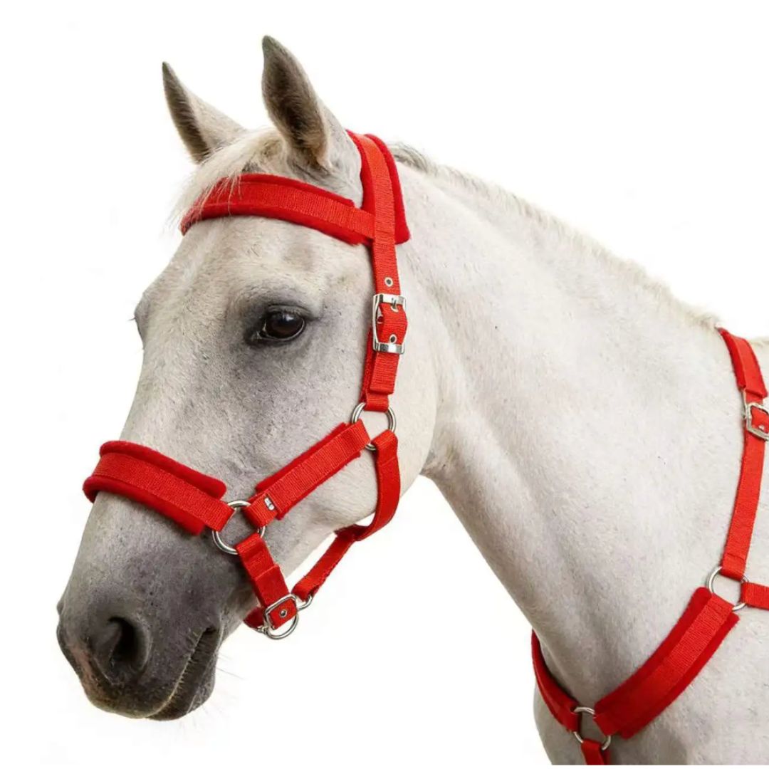 Chevaroo Gentle Nose Padded Bitless Bridle 2.0