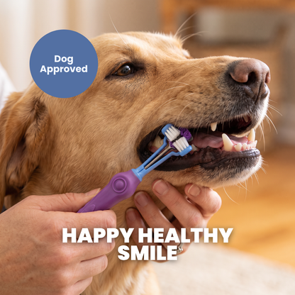Chevaroo 3 Sided Dog Anti Plaque Toothbrush