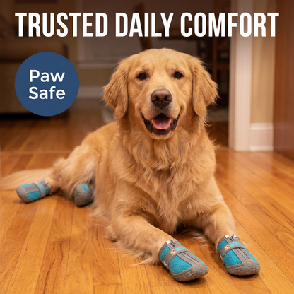Chevaroo Dog Anti Slip At Home Shoes