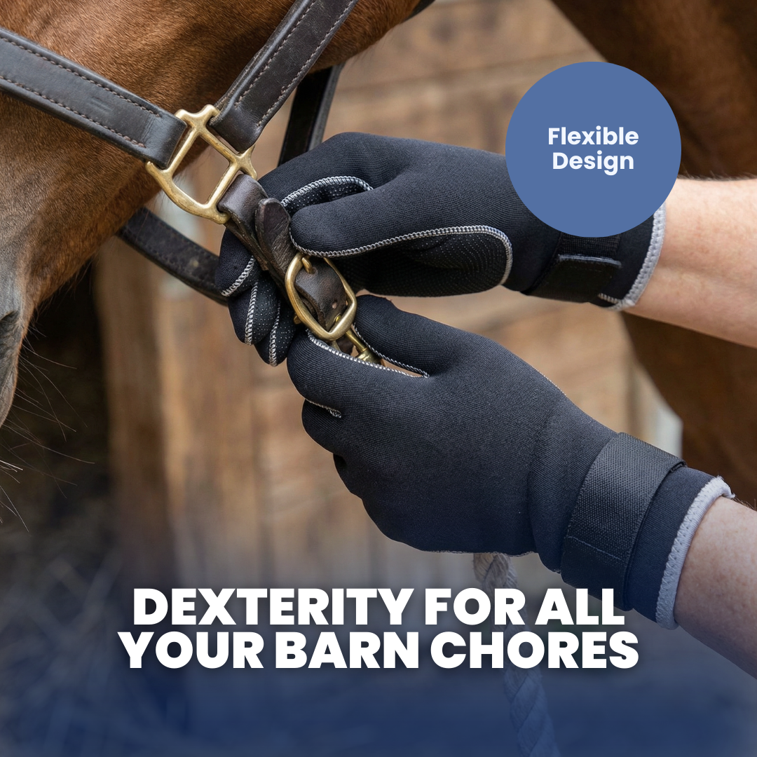 Chevaroo Horse Scratching Gloves