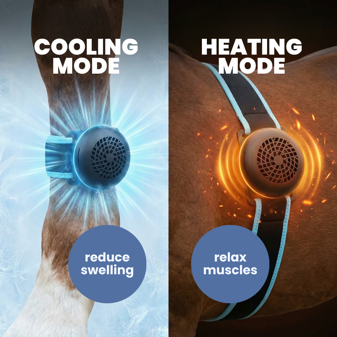 Chevaroo 2-In-1 Heat Cold Therapy