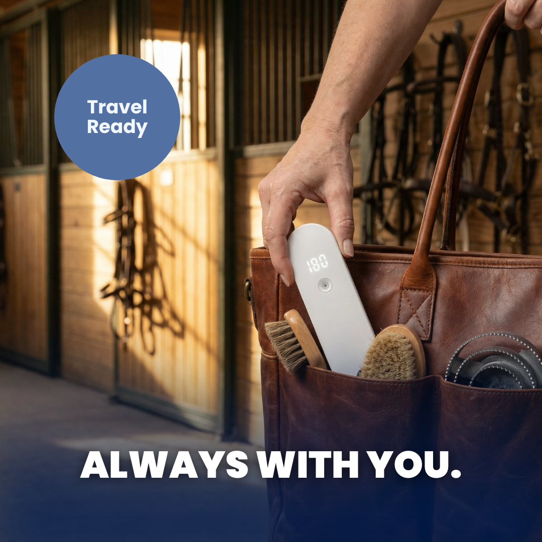 Chevaroo StableAir UV Pro