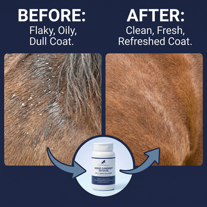 Chevaroo Horse Dandruff Defense Dry Powder Treatment