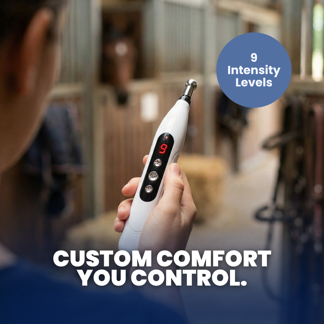 Chevaroo Electronic Acupuncture