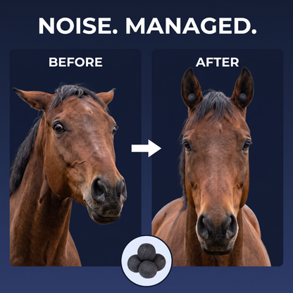 Chevaroo Horse Otitis Protector