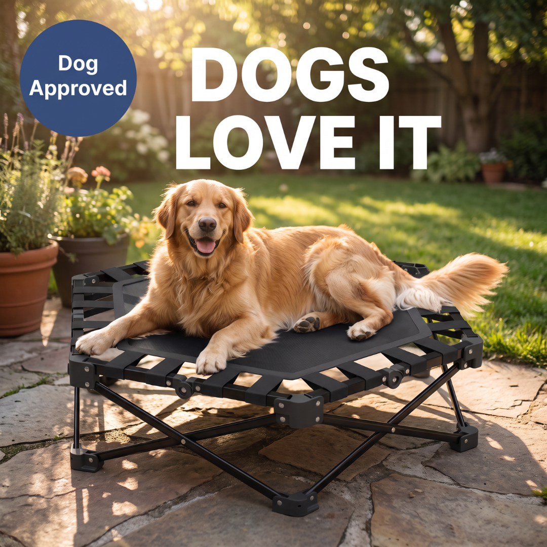 Chevaroo Indoor & Outdoor Elevated Foldable Dog Bed