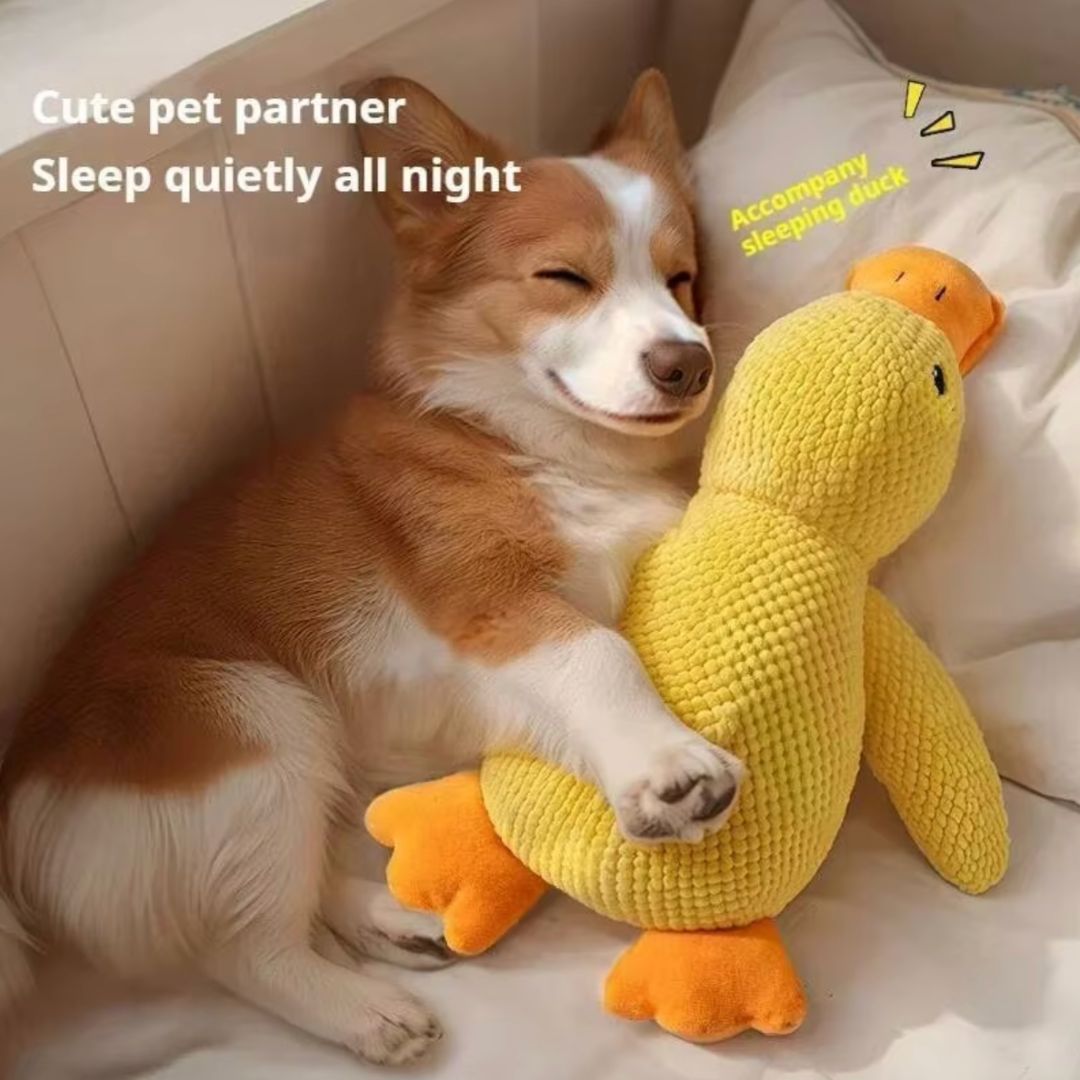 Chevaroo Heartbeat Dog Calming Duck