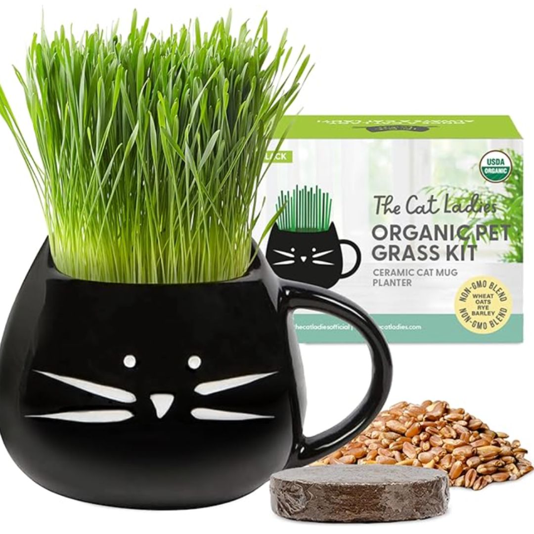 Chevaroo Fresh DIY Indoor & Outdoor Potty Training Grass Mat
