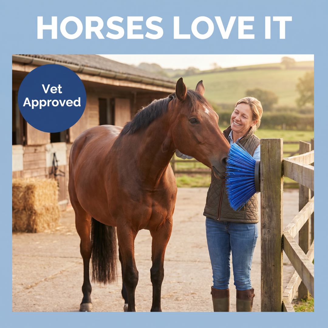 Chevaroo Horse Scratcher 3.0