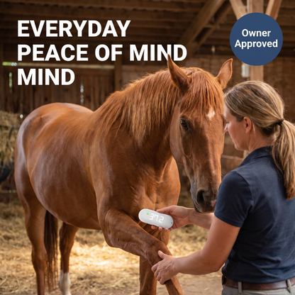 Chevaroo Instant Touch Horse Thermometer