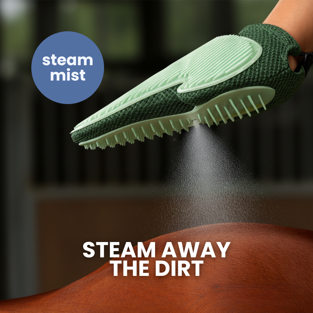 Chevaroo Hand Steam Brush