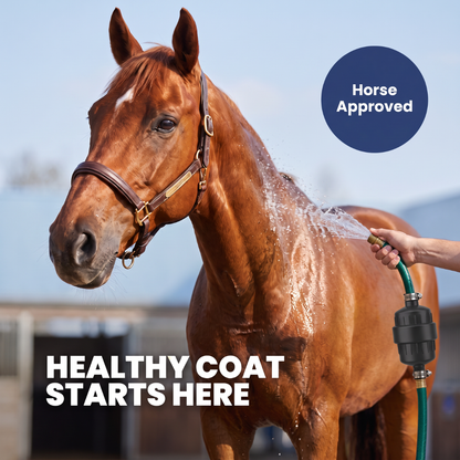 Chevaroo Horse Garden Hose Water Filter
