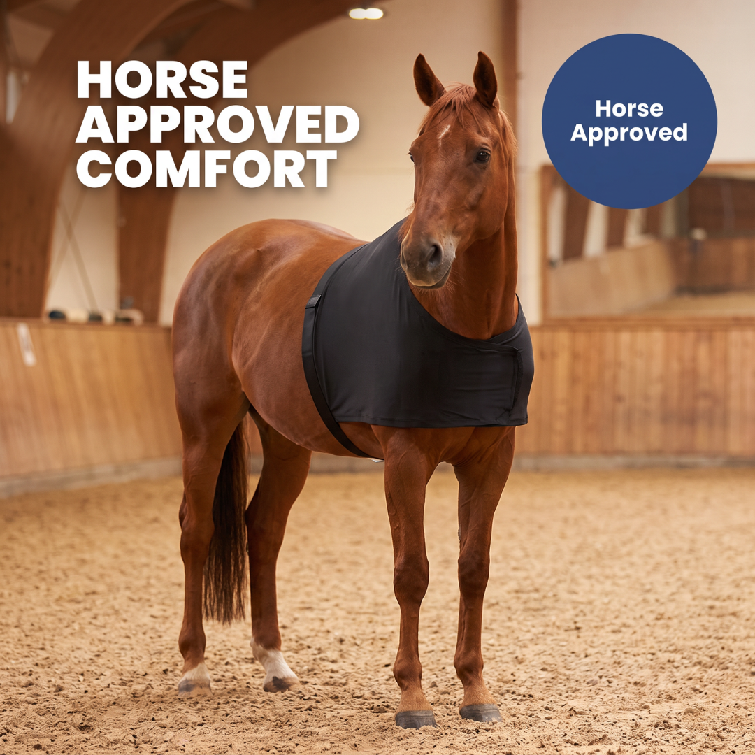 Chevaroo Horse Back Posture Corrector