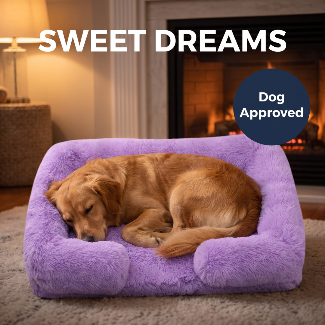 Chevaroo Lavender Calming Dog Bed