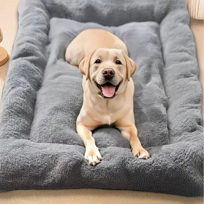 Chevaroo Elevated Orthopedic Dog Bed