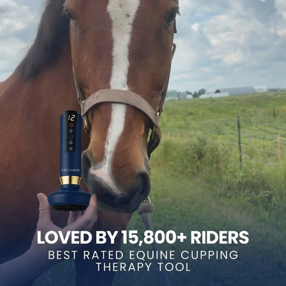 Chevaroo Red Light Cupping Therapy