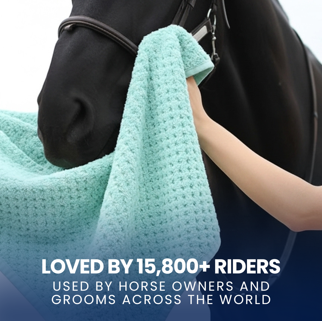 Chevaroo Horse Absorber XXL