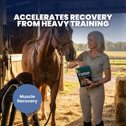 EquiOptimus Inflammation XL Supplement