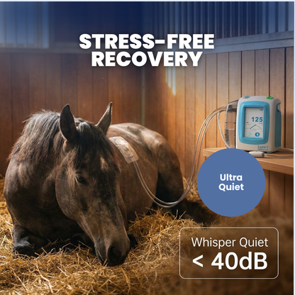 Chevaroo EquiVac Negative Pressure Wound System