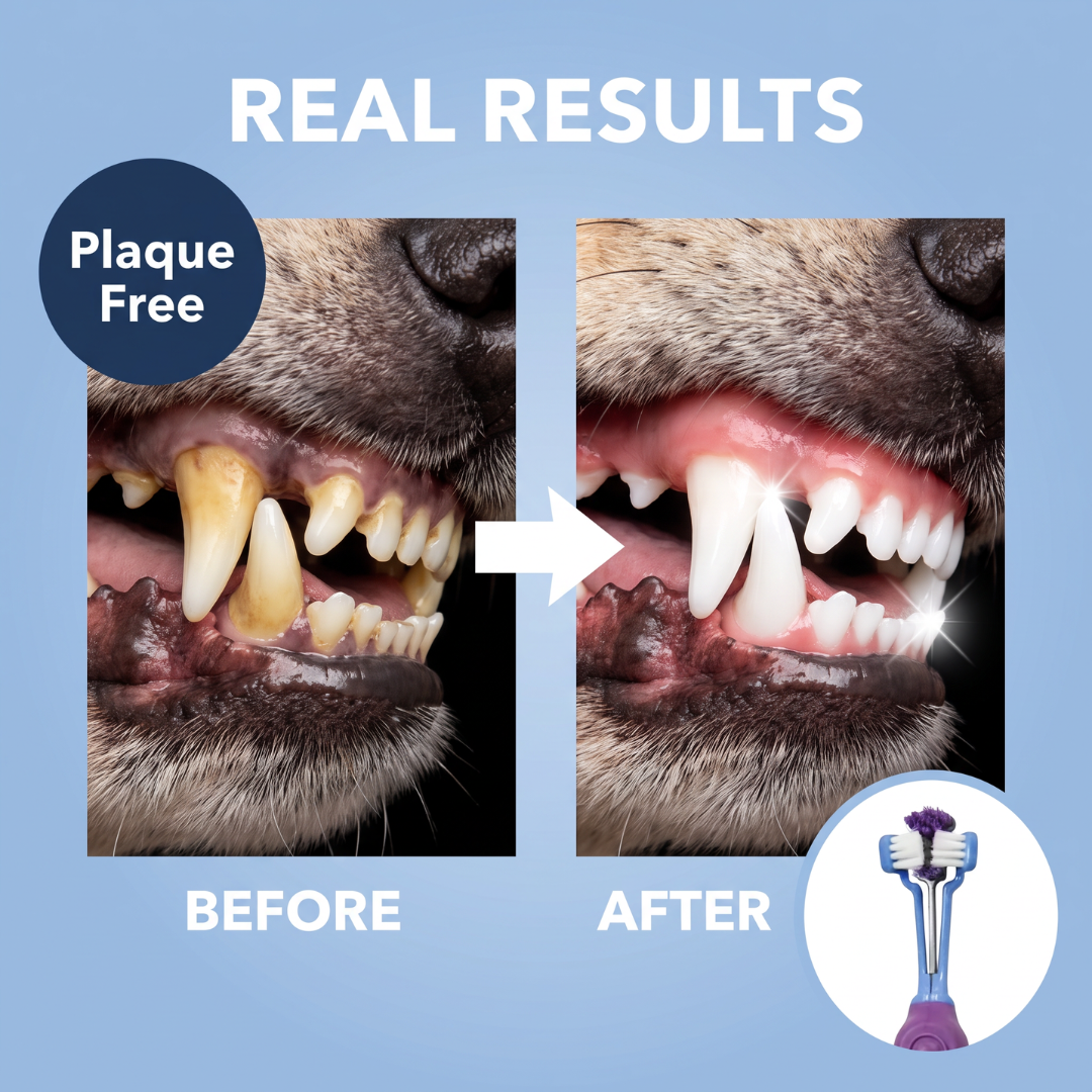 Chevaroo 3 Sided Dog Anti Plaque Toothbrush