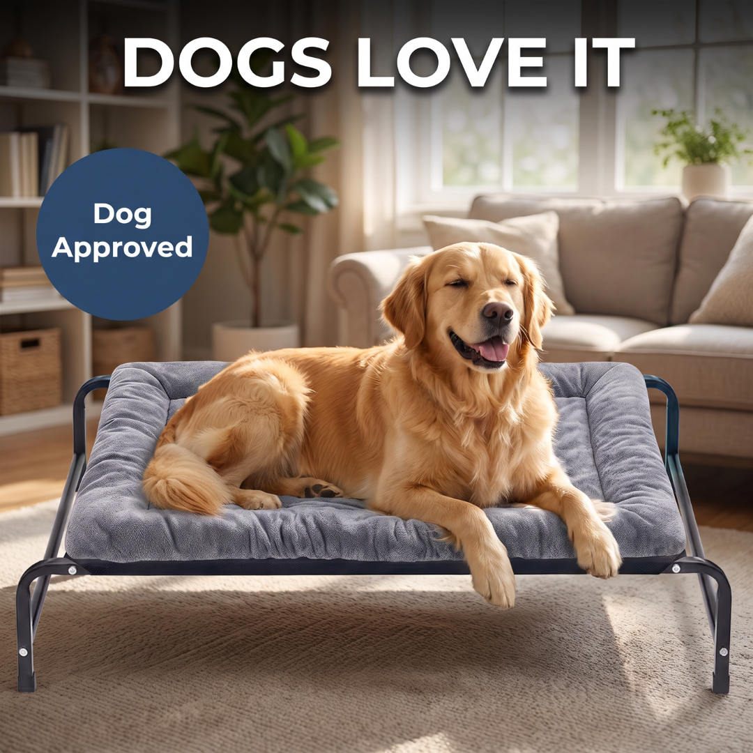Chevaroo Elevated Orthopedic Dog Bed