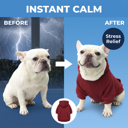 Chevaroo Weighted Calming Dog Hoodie