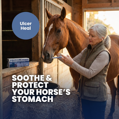 Chevaroo EquiCare Ulcer Paste