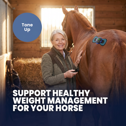 Chevaroo Horse Weight Loss EMS Unit