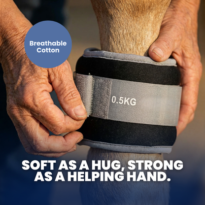 Chevaroo Equilibrium Weighted Horse Strap