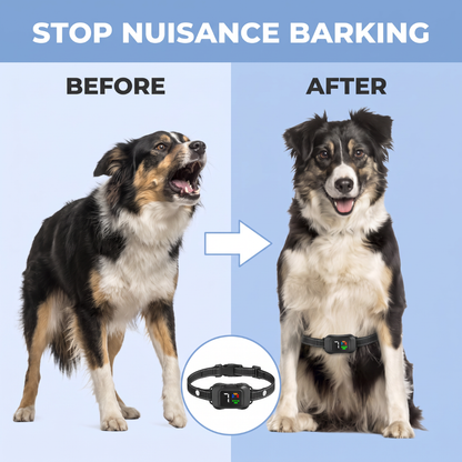 Chevaroo Ultrasonic Deterrent Barking Training Belly Collar