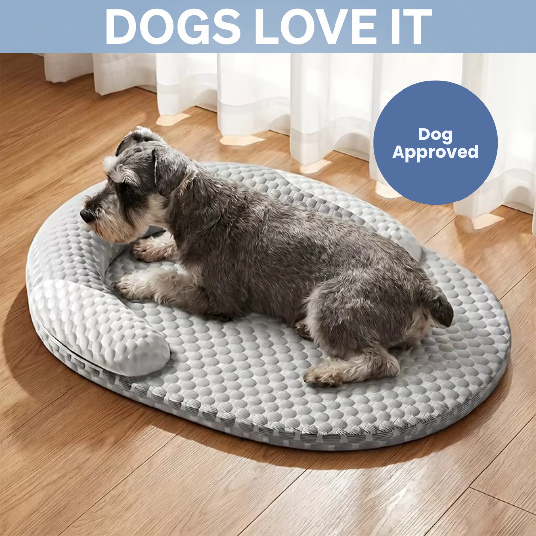 Chevaroo Lavender-Filled Pillow Calming Dog Bed