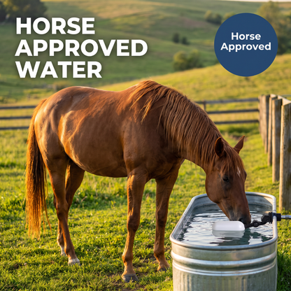 Chevaroo Horse Auto Fill Valve Trough