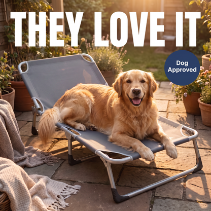 Chevaroo XXL Elevated Foldable Dog Bed